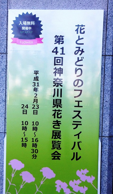 f:id:akaibara:20190223212830j:plain