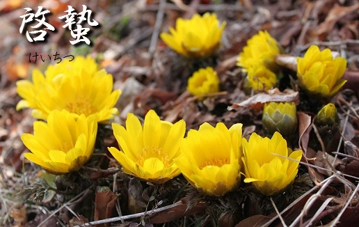 f:id:akaibara:20190306230931j:plain f:id:akaibara:20190306230931j:plain