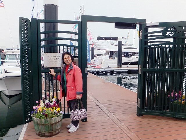 f:id:akaibara:20190310221802j:plain