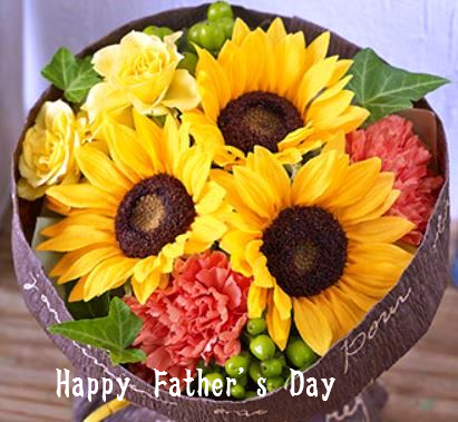 f:id:akaibara:20190616211136j:plain f:id:akaibara:20190616211136j:plain
