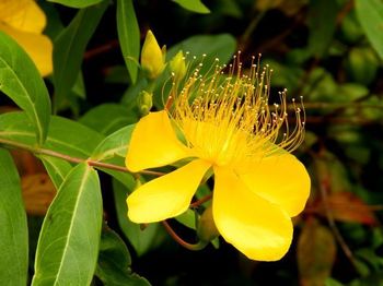 f:id:akaibara:20190621203100j:plain f:id:akaibara:20190621203100j:plain