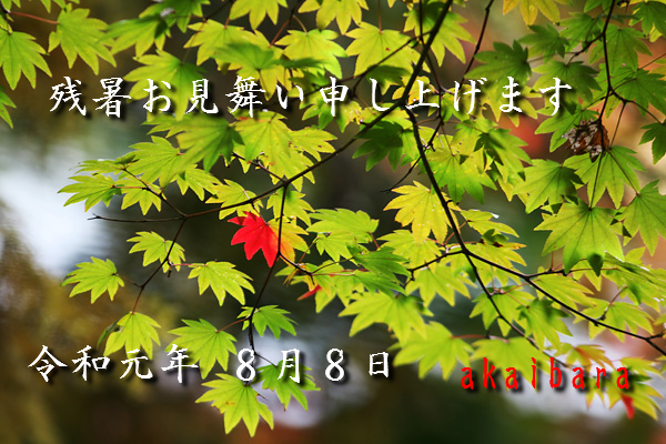 f:id:akaibara:20190808174743j:plain