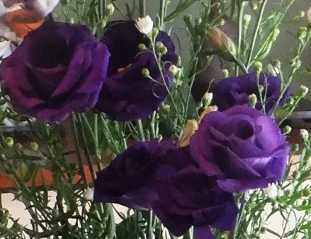 f:id:akaibara:20190919204222j:plain