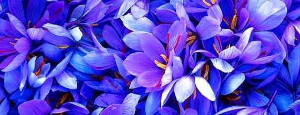 f:id:akaibara:20191106163447j:plain