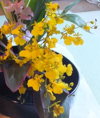 f:id:akaibara:20200109221121j:plain