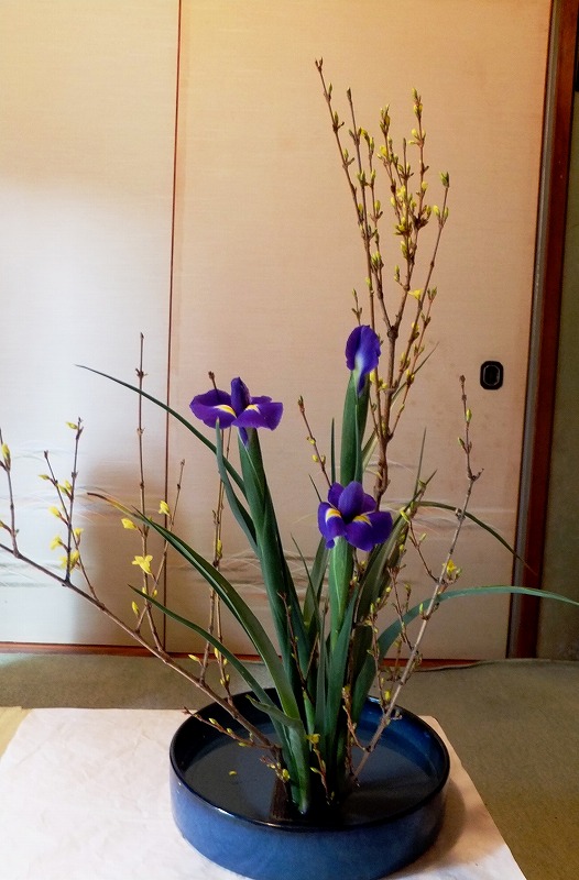 f:id:akaibara:20200116222350j:plain