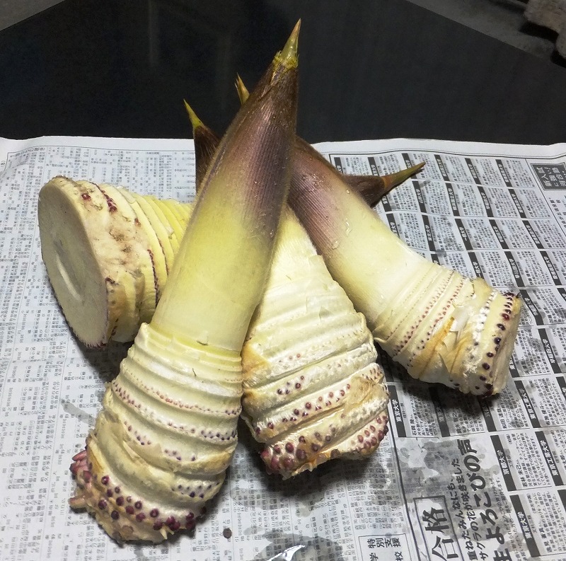 f:id:akaibara:20200403153842j:plain