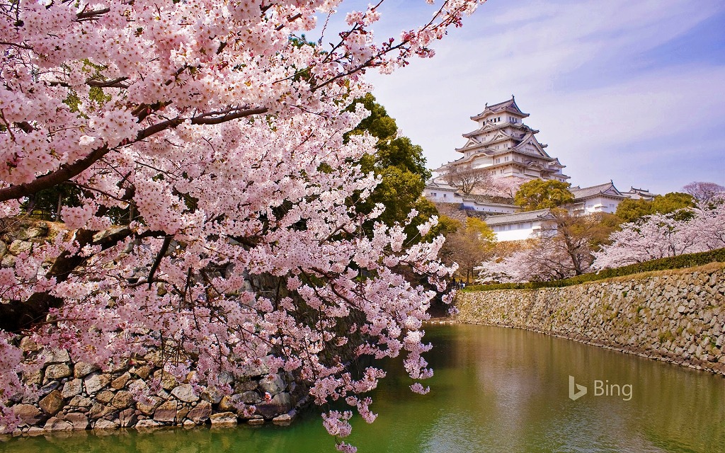 f:id:akaibara:20200406160048j:plain f:id:akaibara:20200406160048j:plain