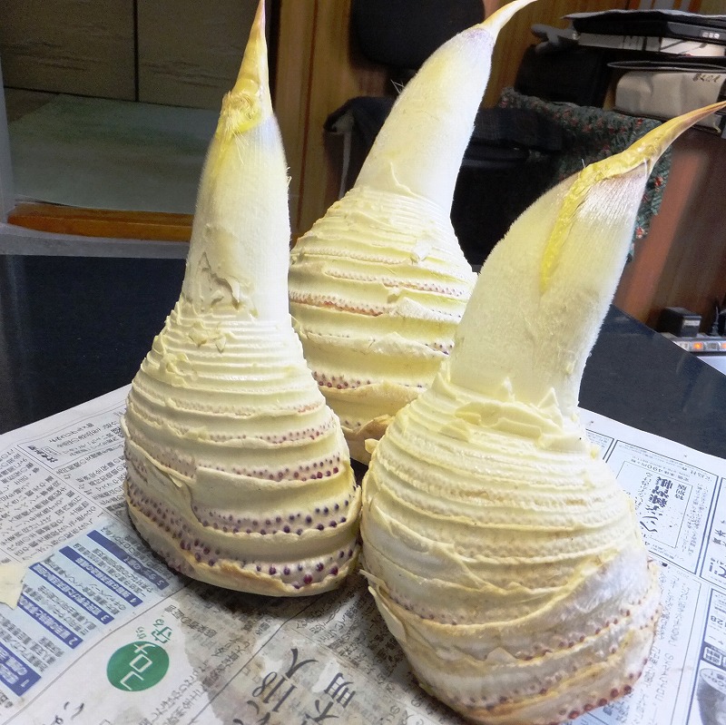 f:id:akaibara:20200408172000j:plain