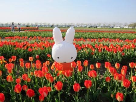 f:id:akaibara:20200430165923j:plain