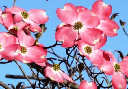 f:id:akaibara:20200524221528j:plain f:id:akaibara:20200524221528j:plain