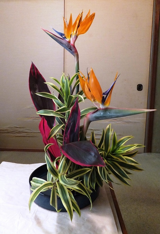 f:id:akaibara:20201120172326j:plain
