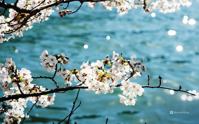 f:id:akaibara:20210327163727j:plain