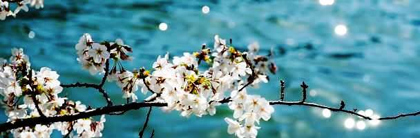 f:id:akaibara:20210327164002j:plain