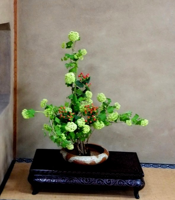 f:id:akaibara:20210710222237j:plain