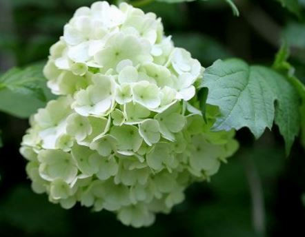 f:id:akaibara:20210710222552j:plain