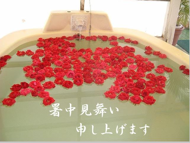f:id:akaibara:20210720230624j:plain