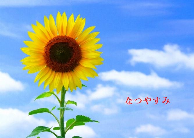 f:id:akaibara:20210811203305j:plain