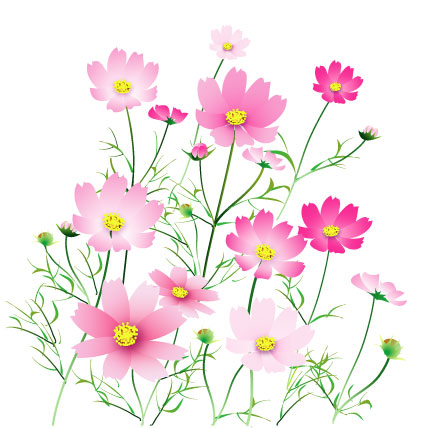 f:id:akaibara:20210919220638j:plain