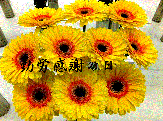 f:id:akaibara:20211123205452p:plain