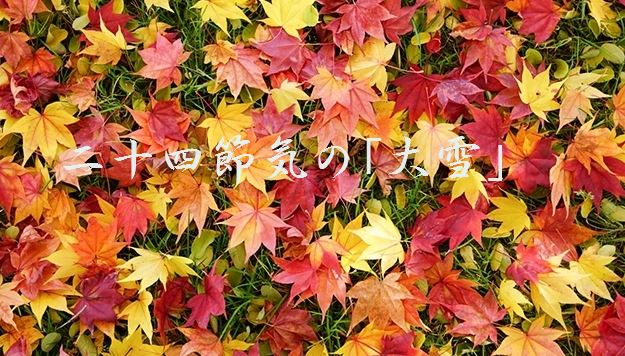 f:id:akaibara:20211207163929j:plain