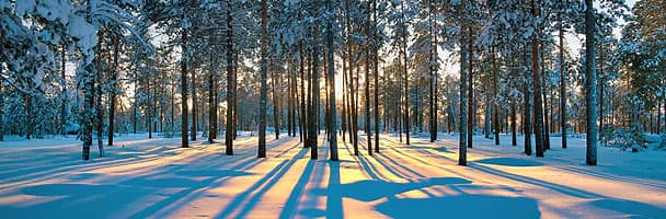 f:id:akaibara:20211222213202j:plain