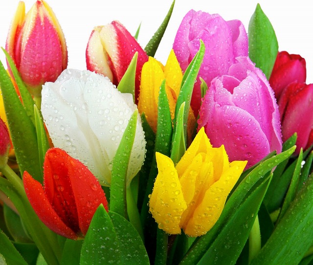 f:id:akaibara:20220201231132j:plain