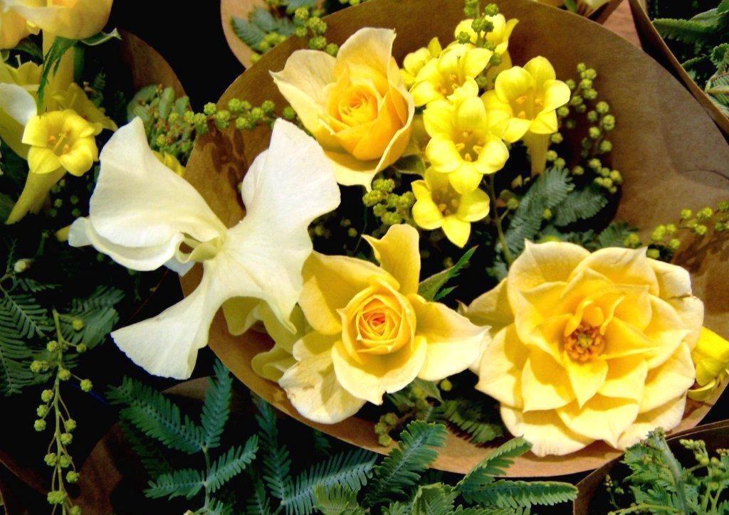 f:id:akaibara:20220225224230j:plain