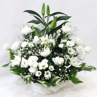f:id:akaibara:20220311165134j:plain