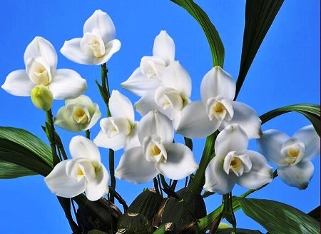 f:id:akaibara:20220325223555j:plain