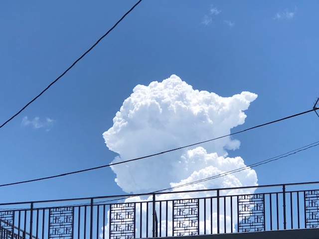 f:id:akaibara11:20210715005942j:plain