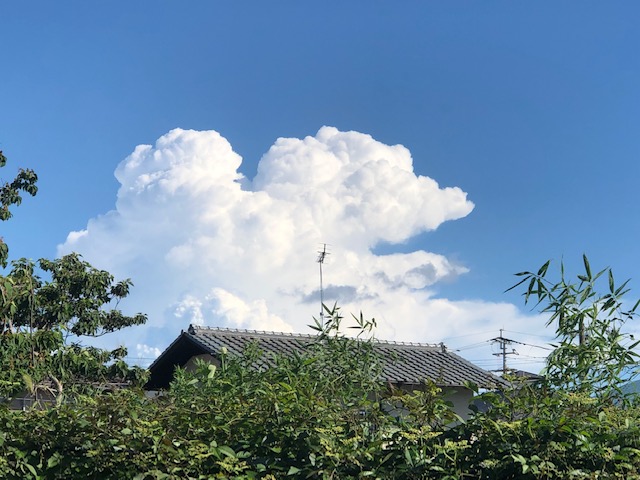 f:id:akaibara11:20210715010031j:plain