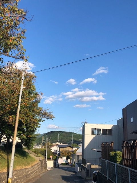 f:id:akaibara11:20211019175336j:plain