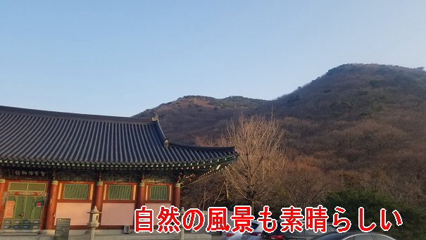 f:id:akaigoro:20200503002114j:plain f:id:akaigoro:20200503002114j:plain