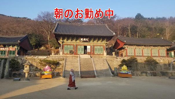 f:id:akaigoro:20200503002551j:plain f:id:akaigoro:20200503002551j:plain