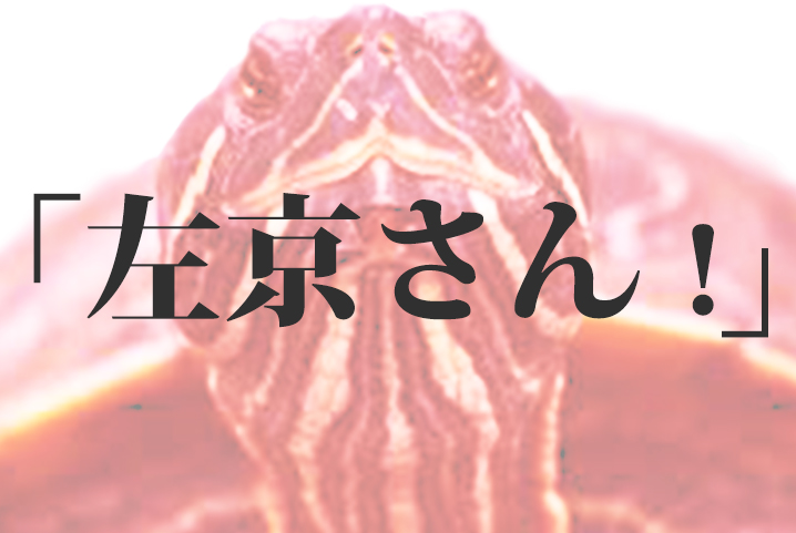 f:id:akaikamedai:20161029130258j:plain f:id:akaikamedai:20161029130258j:plain
