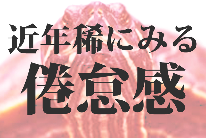 f:id:akaikamedai:20161101191053j:plain f:id:akaikamedai:20161101191053j:plain