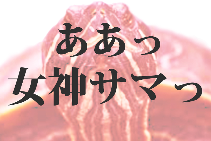 f:id:akaikamedai:20161103152323j:plain f:id:akaikamedai:20161103152323j:plain