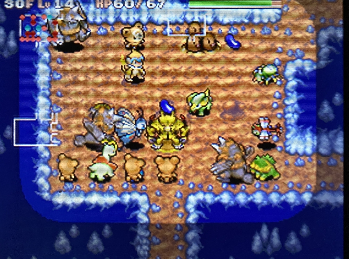 空の探検隊】エレキブル(B)でうんめいのとう踏破 - 願望と運ゲー