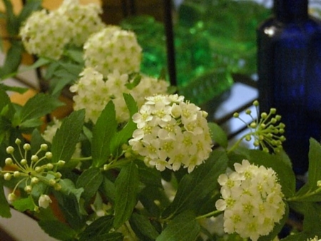 f:id:akaisi:20090126143059j:image