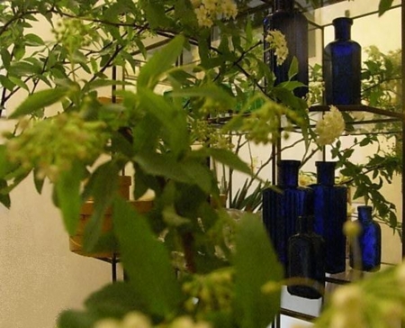 f:id:akaisi:20090126143325j:image:w350