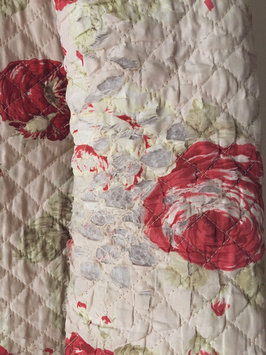 f:id:akaitaner:20191027201711j:plain f:id:akaitaner:20191027201711j:plain