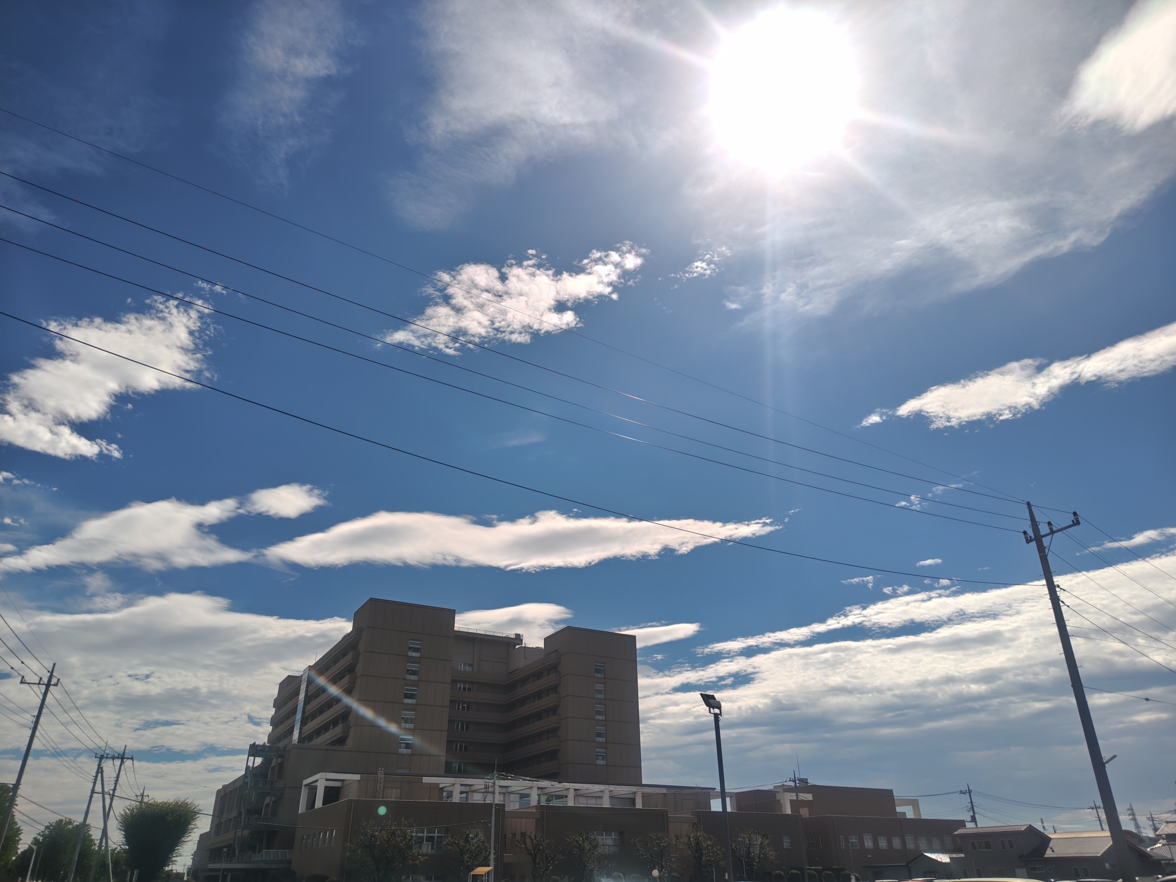 f:id:akaitubasa:20240920131624j:image f:id:akaitubasa:20240920131624j:image