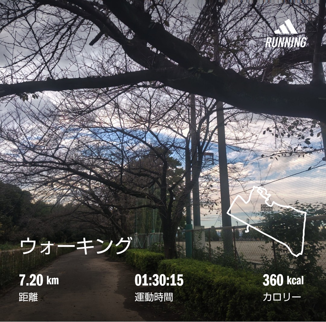 f:id:akaitubasa:20240922195819j:image