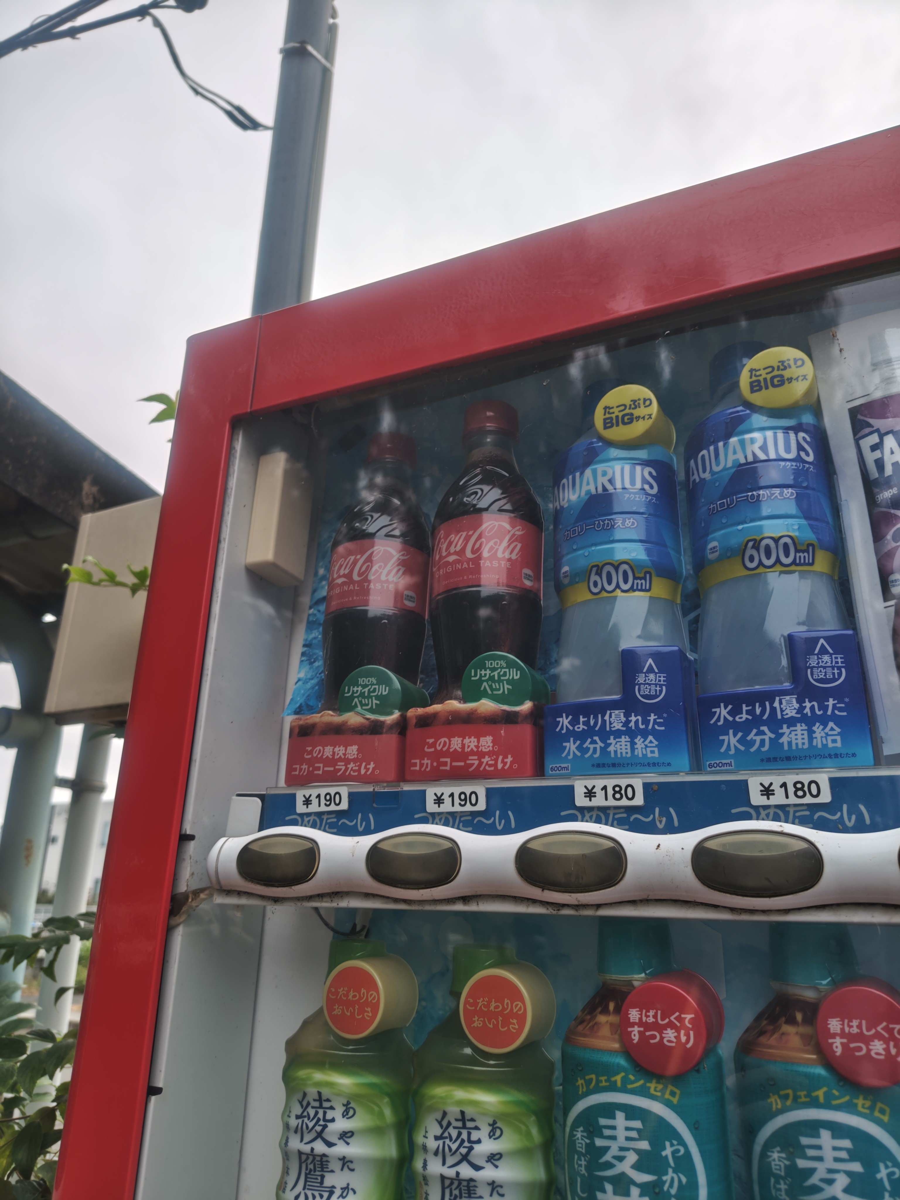 f:id:akaitubasa:20241006200245j:image