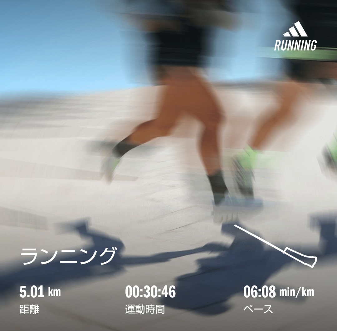 f:id:akaitubasa:20241016204317j:image f:id:akaitubasa:20241016204317j:image