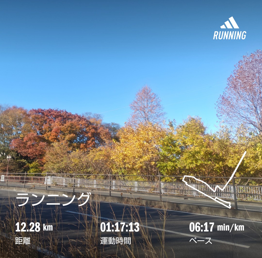 f:id:akaitubasa:20241201182212j:image