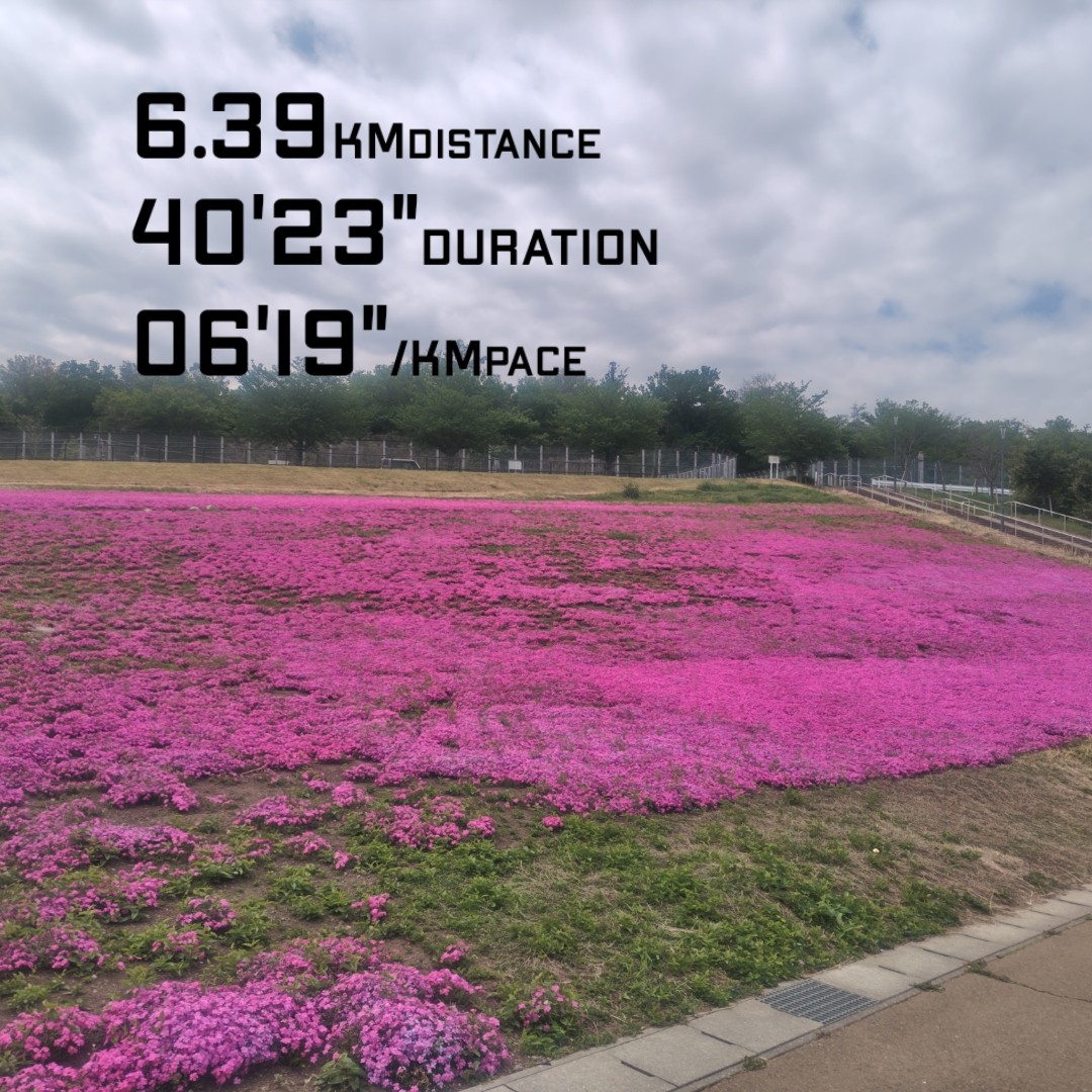 f:id:akaitubasa:20250511204940j:image f:id:akaitubasa:20250511204940j:image