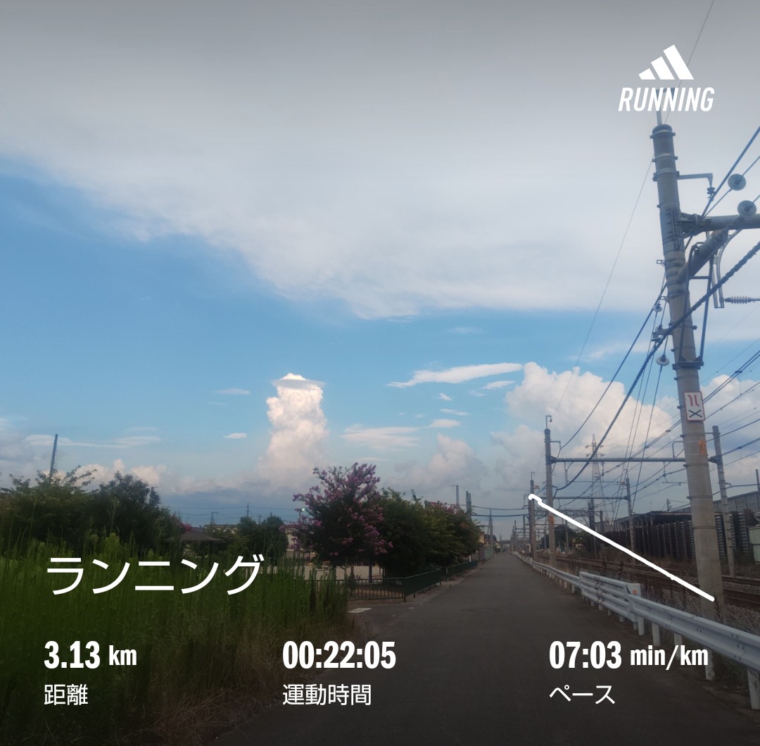 f:id:akaitubasa:20250721221636j:image