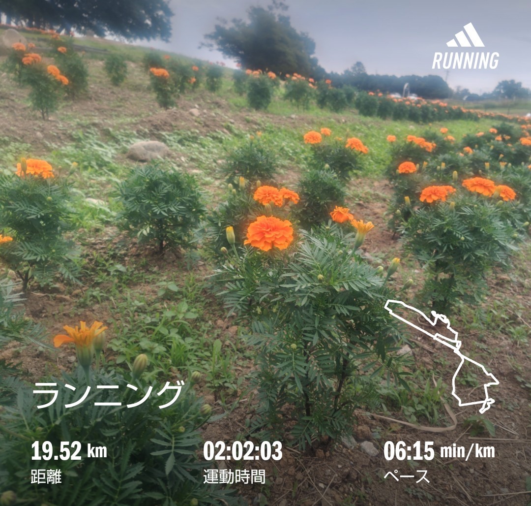 f:id:akaitubasa:20251011195446j:image f:id:akaitubasa:20251011195446j:image